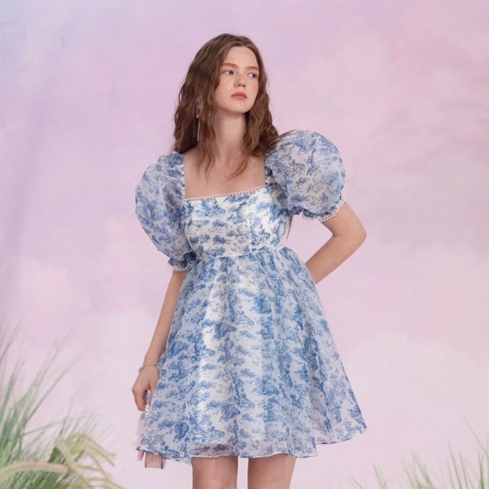 SHEIN MOD Landscape Print Puff Sleeve Organza Dress Selkie Style